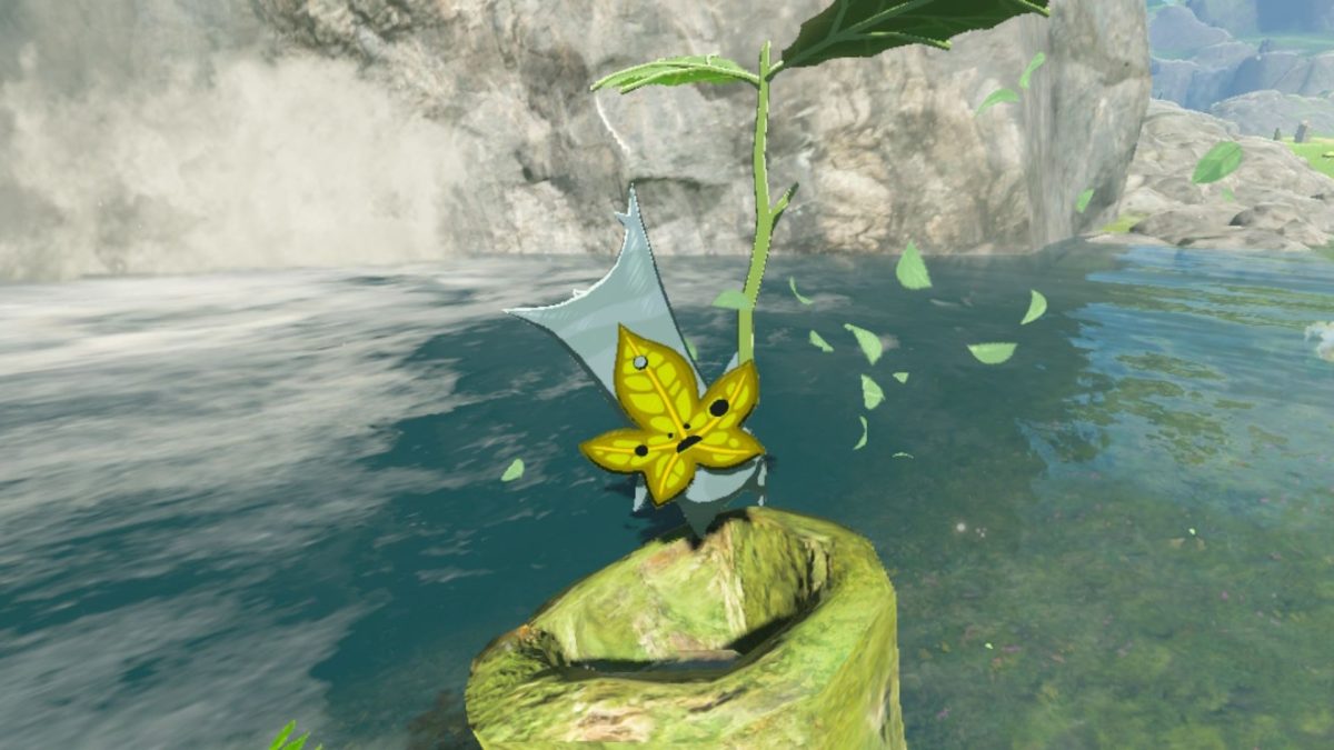 Zelda Tears