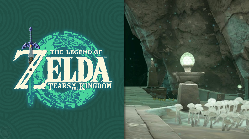 Zelda Tears guía