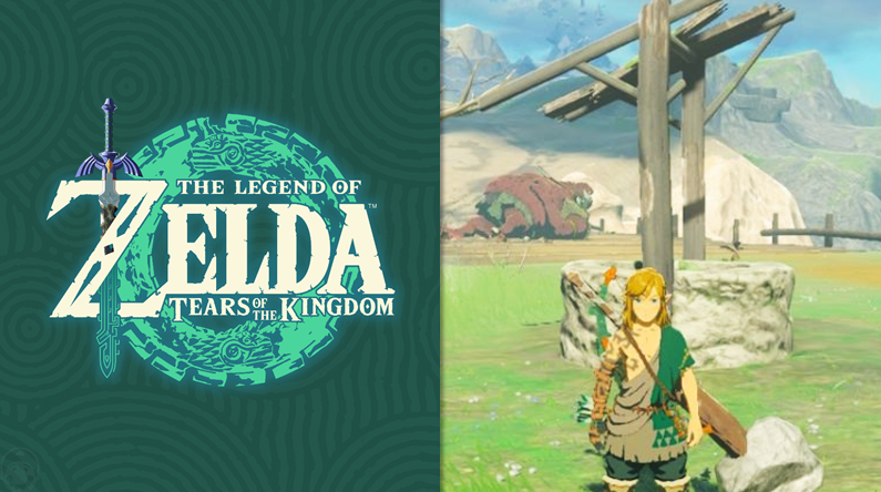 Zelda tears guía
