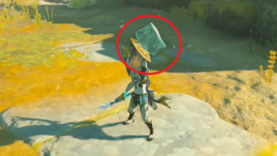 Carne helada para hacer surf y otras 41 cosas que desconoces en Zelda: Tears of the Kingdom