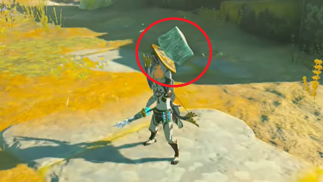 Zelda Tears