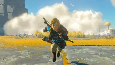 Zelda Tears