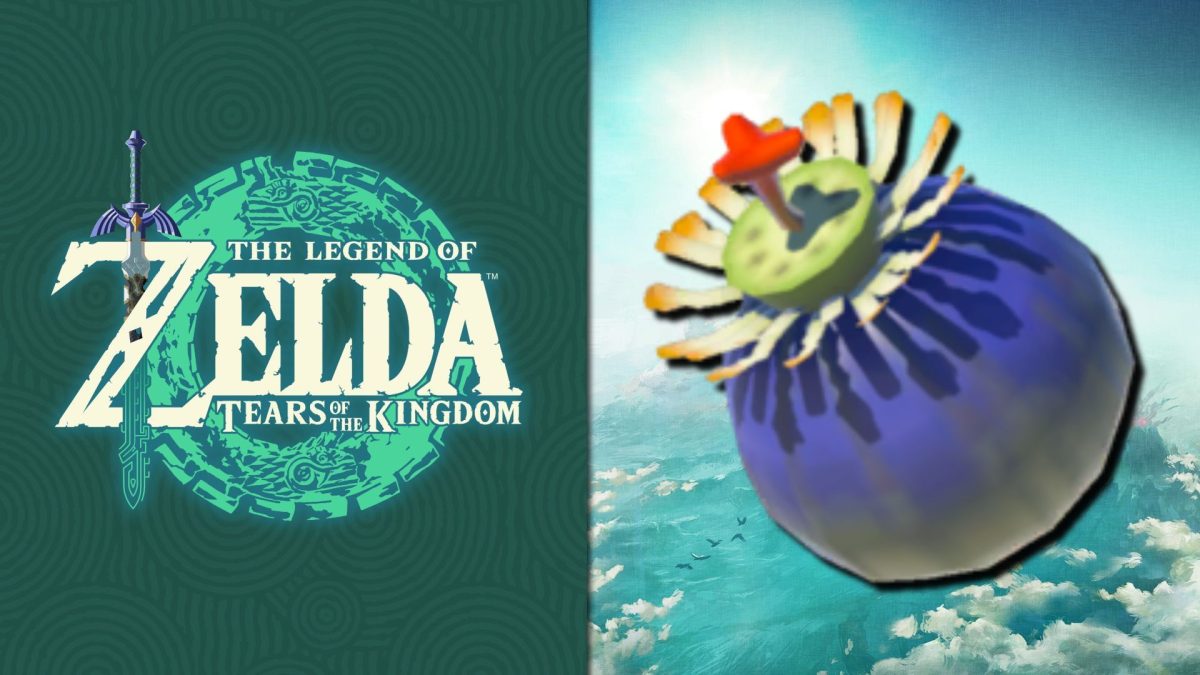 bomba zelda