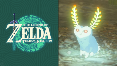 Los Rupinejos tienen una útil función extra en Zelda: Tears of the Kingdom