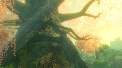 Zelda Tears