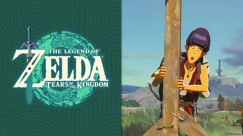 Zelda Tears guía