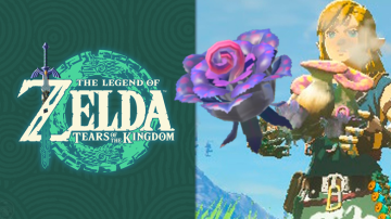 Objetos muy útiles que estás ignorando en Zelda: Tears of the Kingdom