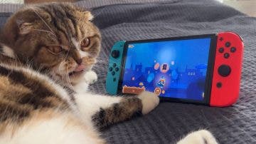 Gatos reales protagonizan este vídeo promocional de Nintendo Switch
