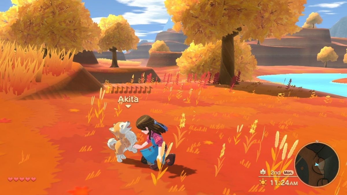 Harvest Moon