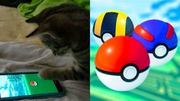 Gato se vuelve viral tras atrapar a un Weedle en Pokémon GO