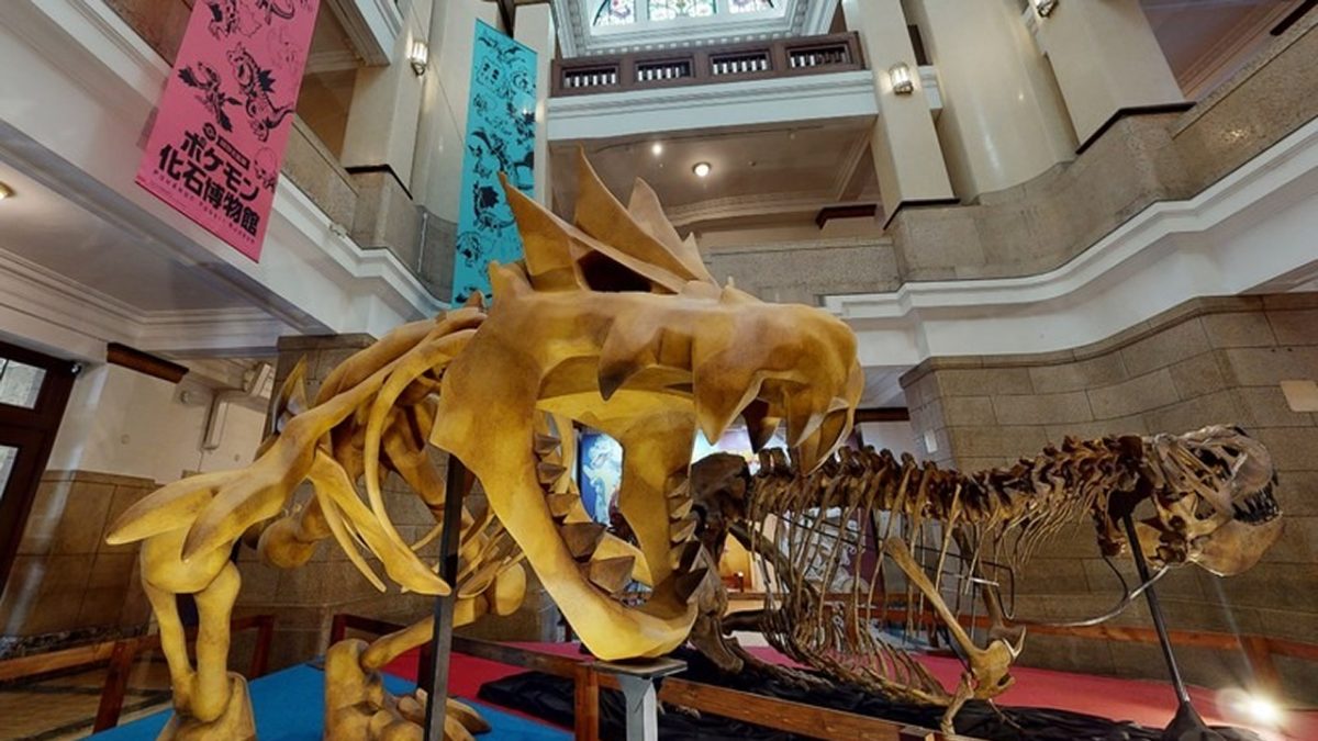 ¿Sabías que existe un Museo de Fósiles Pokémon en la vida real?