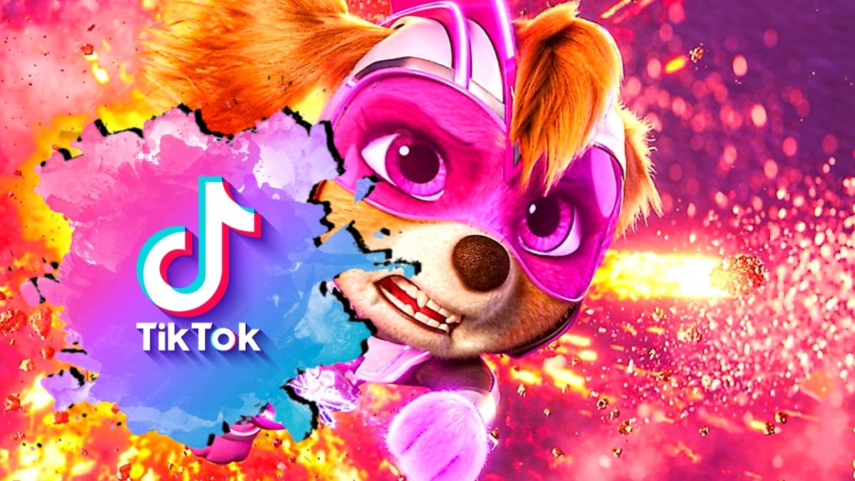 PAW Patrol: Cómo aplicar el filtro de la Patrulla Canina en Tik Tok de manera rápida y sencilla