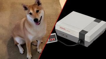 Un perro puede convertirse en héroe gracias a un speedrun para un título de NES