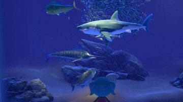 Animal Crossing New Horizons: Todas las criaturas submarinas actuales