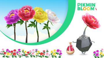 Pikmin Bloom desvela los planes para el próximo mes de junio