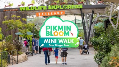 Pikmin Bloom