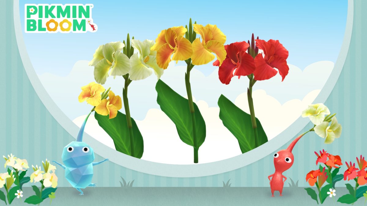 Pikmin Bloom