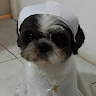 Avatar de Moederino