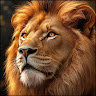 Avatar de Mario Mulas