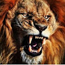 Avatar de rodrigo rodriguez