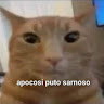 Avatar de Kamedui