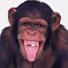 Avatar de Maurisio Telatragas