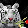 Avatar de aldrin peñate