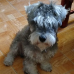 Avatar de gascasonica