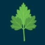 Avatar de Sir.cilantro