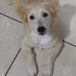 Avatar de CarMateo