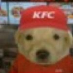 Avatar de Niclego